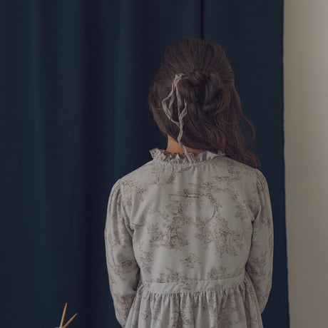 Country dress / Toile de jouy-blue