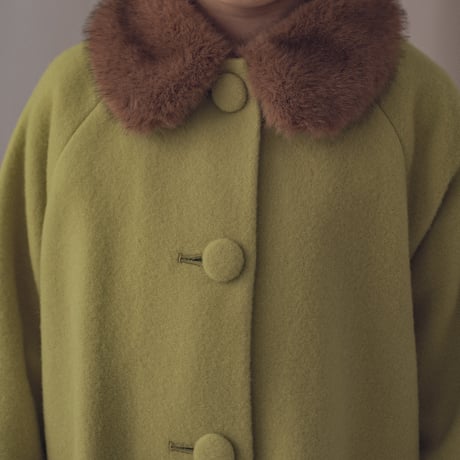 Winter coat / Pistachio