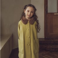 Winter coat / Pistachio
