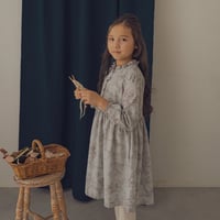 Country dress / Toile de jouy-blue