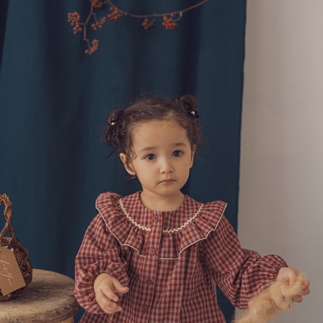 Peter blouse / Berry check