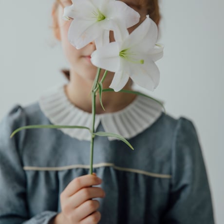 Petal / light blue