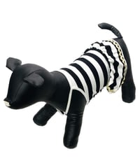 DOG camisole One piece