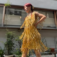 flapper sequin fringe dress