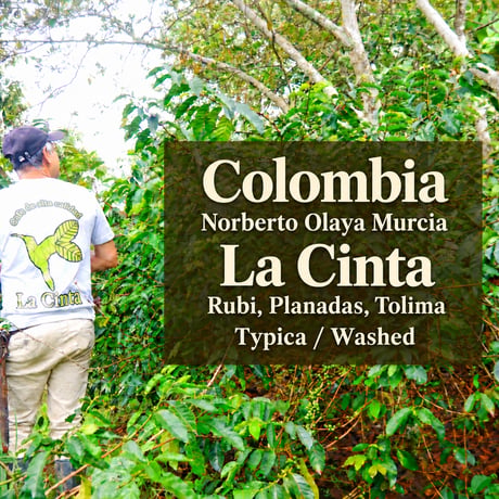 Colombia ラ・シンタ農園 Typica Washed 100g ライトロースト
