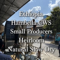 Ethiopia ハンベラ Heirloom Natural 100g ミディアムロースト