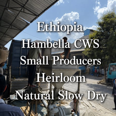 Ethiopia ハンベラ Heirloom Natural 100g ミディアムロースト