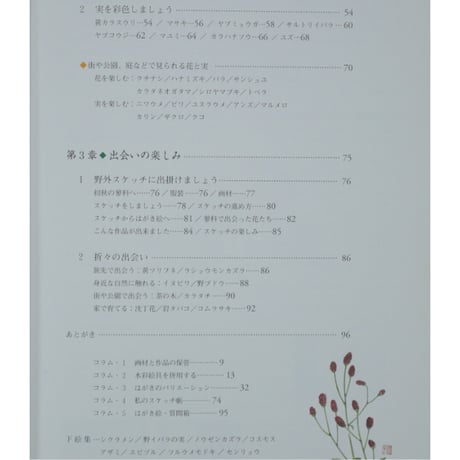やさしい花と実のはがき絵 彩色の仕方、下絵つき 増渕澄子 日貿出版社
