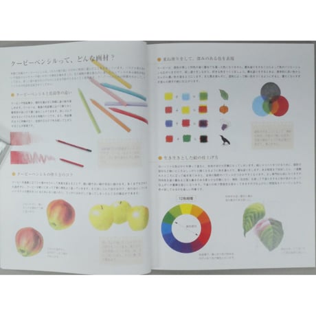 大人の塗り絵 花・フルーツ・風景・鳥 河出書房新社