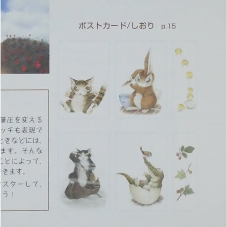 ダヤンの塗り絵 池田あきこ MPC