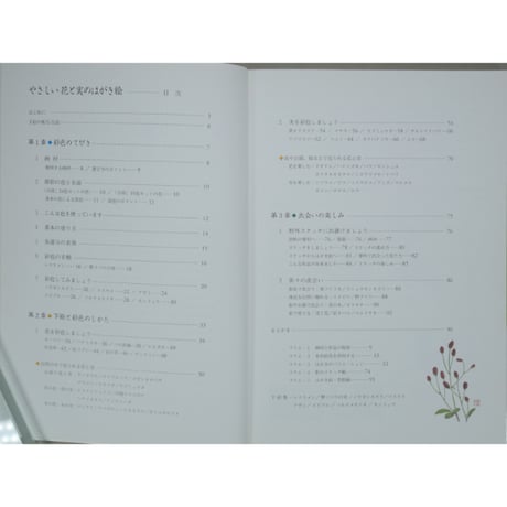 やさしい花と実のはがき絵 彩色の仕方、下絵つき 増渕澄子 日貿出版社