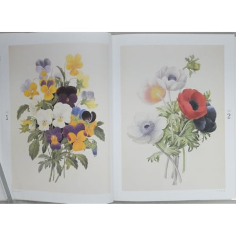 大人の塗り絵 美しい花編 P・J・ルドゥーテ 河出書房新社
