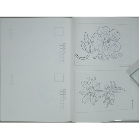 やさしい花と実のはがき絵 彩色の仕方、下絵つき 増渕澄子 日貿出版社