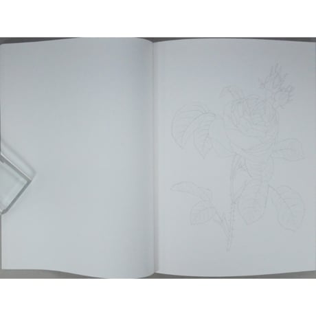 大人の塗り絵 花・フルーツ・風景・鳥 河出書房新社