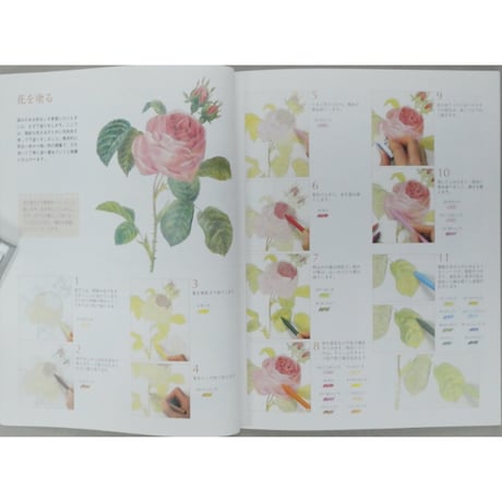 大人の塗り絵 花・フルーツ・風景・鳥 河出書房新社