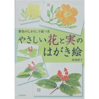 やさしい花と実のはがき絵 彩色の仕方、下絵つき 増渕澄子 日貿出版社