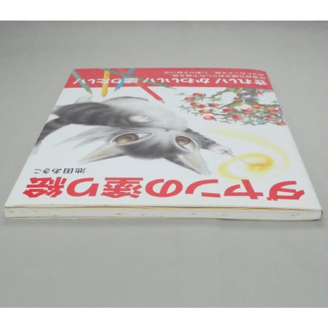 ダヤンの塗り絵 池田あきこ MPC