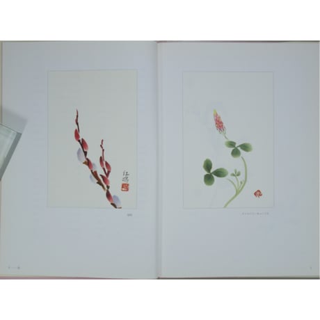 花と風物の俳画 はがき絵 鈴木紅鴎 NHK出版