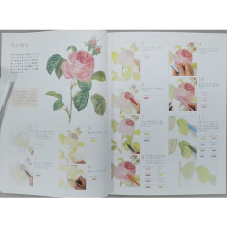 大人の塗り絵 花・フルーツ・風景・鳥 河出書房新社