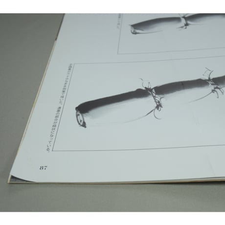 趣味の水墨画 1992年6月号 日本美術教育センター