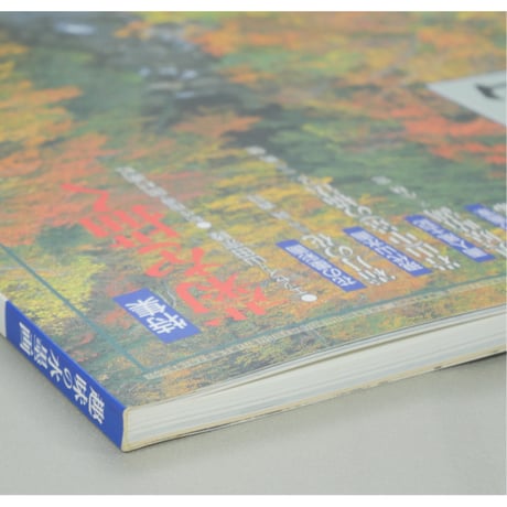 趣味の水墨画 1993年11月号 日本美術教育センター