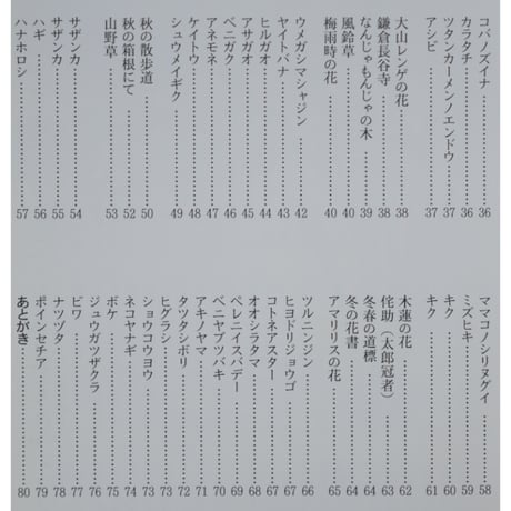 はがき絵 四季の草花 増渕澄子 日貿出版社