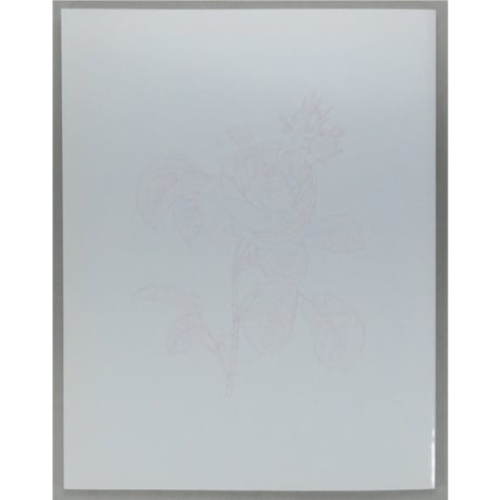 大人の塗り絵 花・フルーツ・風景・鳥 河出書房新社