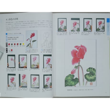 やさしい花と実のはがき絵 彩色の仕方、下絵つき 増渕澄子 日貿出版社