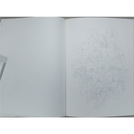 大人の塗り絵 美しい花編 P・J・ルドゥーテ 河出書房新社