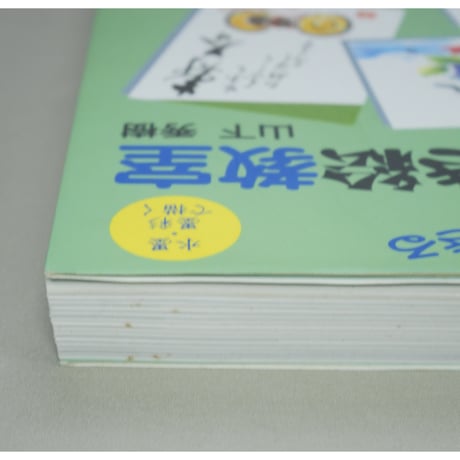 だれでもできる最新はがき絵教室 水墨・墨彩で描く 山下秀樹 誠文堂新光社