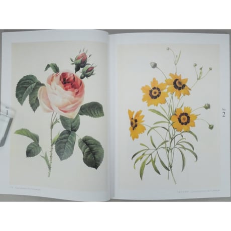 大人の塗り絵 花・フルーツ・風景・鳥 河出書房新社