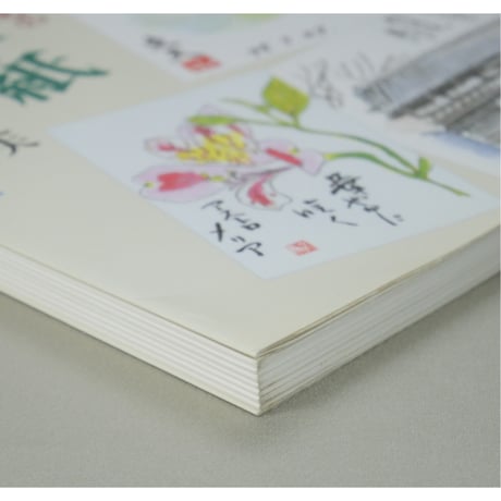 楽しい絵手紙の描き方 これから始める人のための 大久保文夫 日貿出版社