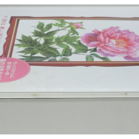 大人の塗り絵 春の花編 佐々木由美子 河出書房新社