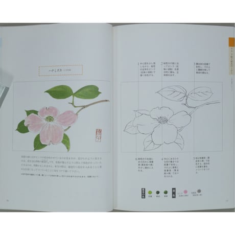 やさしい花と実のはがき絵 彩色の仕方、下絵つき 増渕澄子 日貿出版社