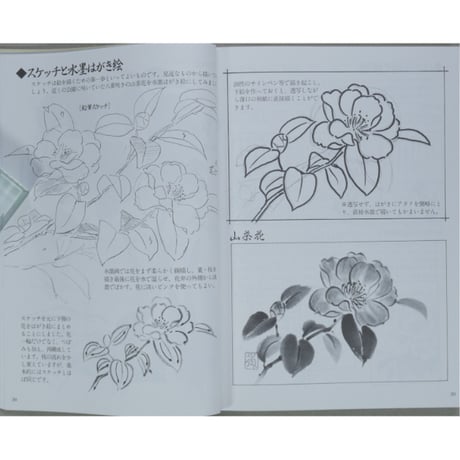 だれでもできる最新はがき絵教室 水墨・墨彩で描く 山下秀樹 誠文堂新光社