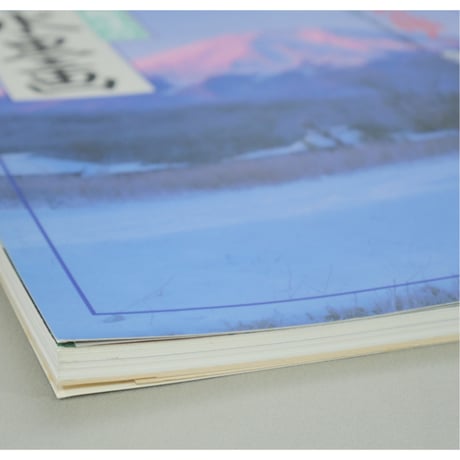 趣味の水墨画 1993年新年号 日本美術教育センター