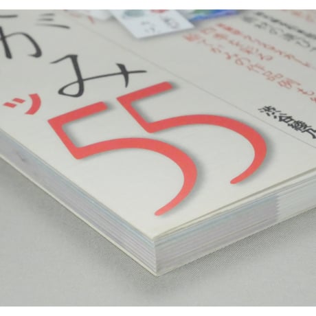 絵てがみ上達のコツ55 もっと楽しく描きたい！ 渋谷綾乃 メイツ出版