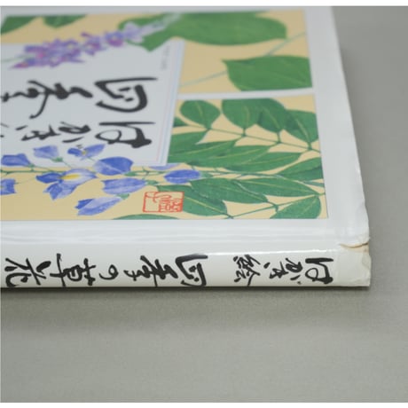 はがき絵 四季の草花 増渕澄子 日貿出版社
