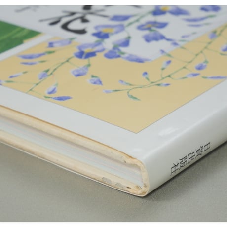はがき絵 四季の草花 増渕澄子 日貿出版社