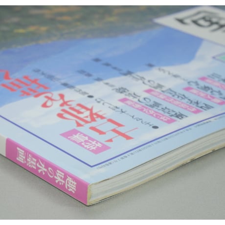 趣味の水墨画 1992年11月号 日本美術教育センター