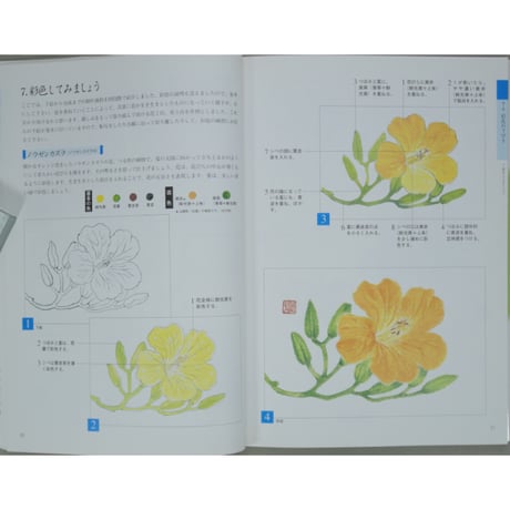 やさしい花と実のはがき絵 彩色の仕方、下絵つき 増渕澄子 日貿出版社