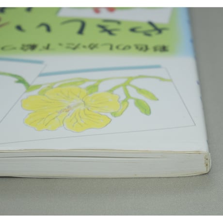 やさしい花と実のはがき絵 彩色の仕方、下絵つき 増渕澄子 日貿出版社