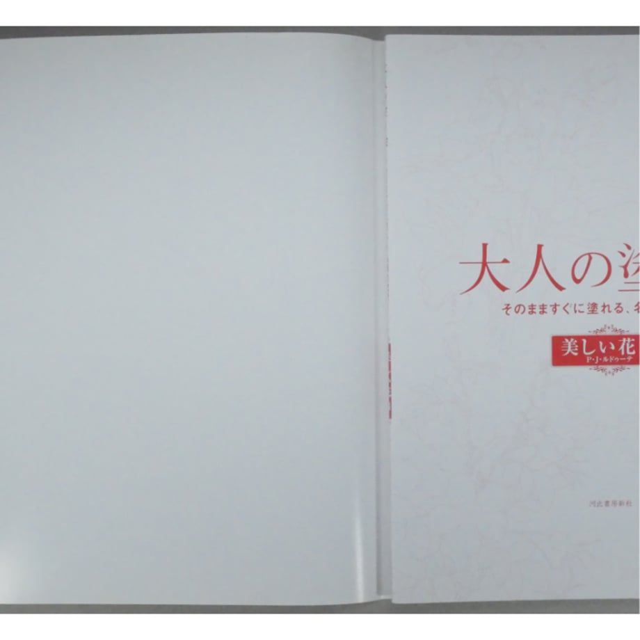 6a9559ac233fa85f2d1d6fb3