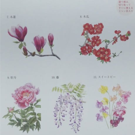 大人の塗り絵 春の花編 佐々木由美子 河出書房新社