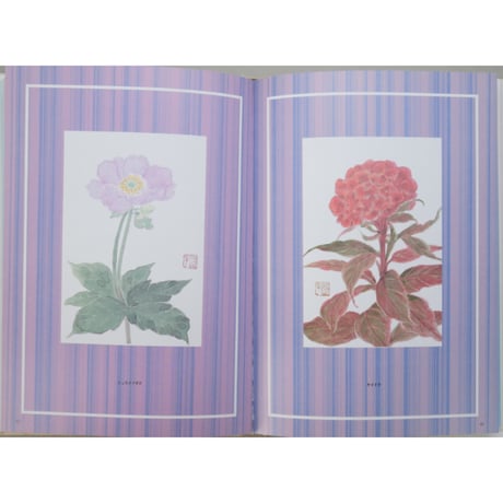 はがき絵 四季の草花 増渕澄子 日貿出版社