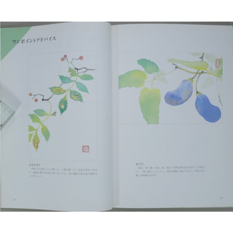 上品な花のはがき絵 原色・原寸の日本画 浦上義昭 日貿出版社