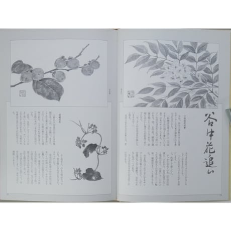 はがき絵 四季の草花 増渕澄子 日貿出版社