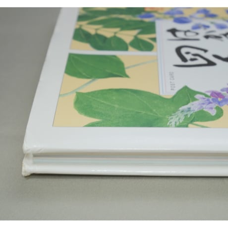 はがき絵 四季の草花 増渕澄子 日貿出版社