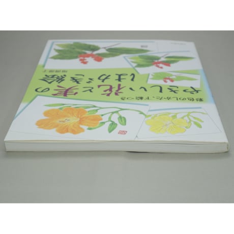 やさしい花と実のはがき絵 彩色の仕方、下絵つき 増渕澄子 日貿出版社