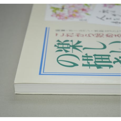 楽しい絵手紙の描き方 これから始める人のための 大久保文夫 日貿出版社